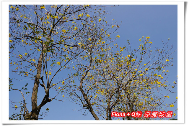 【彰化一日遊】華新創意生活館+窯燒貓村+襪仔王觀光工廠+台灣手套博物館+華陽公園，一路玩下來，認識口罩、手套與襪子的製造過程，欣賞可愛窯燒貓咪，加上小孩最愛的溜滑梯，玩好玩滿的開心親子遊。