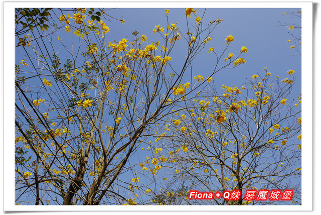 【彰化一日遊】華新創意生活館+窯燒貓村+襪仔王觀光工廠+台灣手套博物館+華陽公園，一路玩下來，認識口罩、手套與襪子的製造過程，欣賞可愛窯燒貓咪，加上小孩最愛的溜滑梯，玩好玩滿的開心親子遊。
