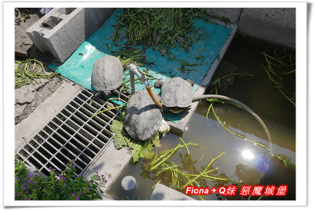 【彰化一日遊】華新創意生活館+窯燒貓村+襪仔王觀光工廠+台灣手套博物館+華陽公園，一路玩下來，認識口罩、手套與襪子的製造過程，欣賞可愛窯燒貓咪，加上小孩最愛的溜滑梯，玩好玩滿的開心親子遊。