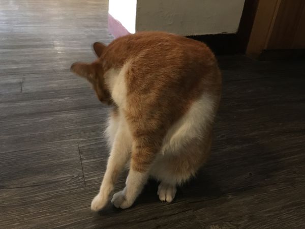 環境 (4).jpg 環境 (4).jpg