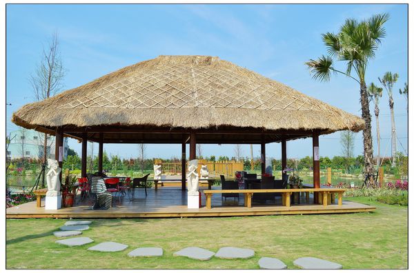 DSC_2880.JPG DSC_2880.JPG