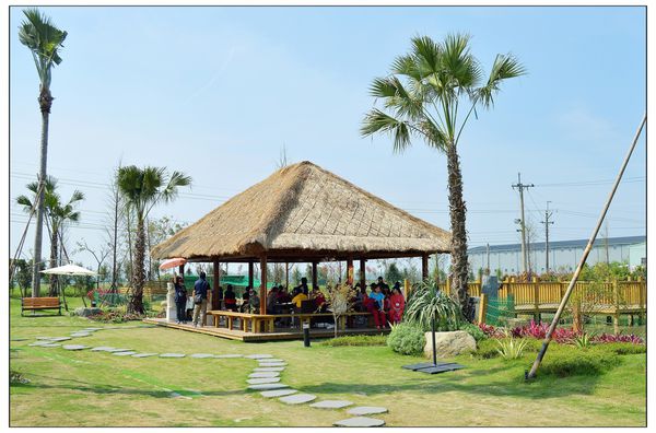 DSC_2846.JPG DSC_2846.JPG