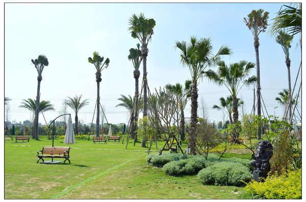 DSC_2840.JPG DSC_2840.JPG