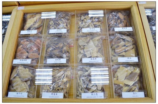 DSC_2904.JPG DSC_2904.JPG