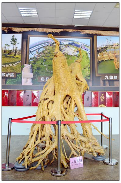 DSC_2906.JPG DSC_2906.JPG