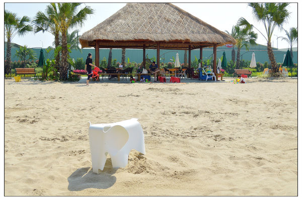 DSC_28370.jpg DSC_28370.jpg