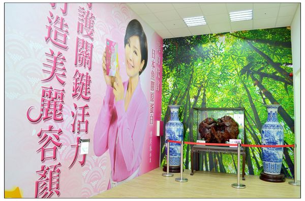 DSC_2909.JPG DSC_2909.JPG