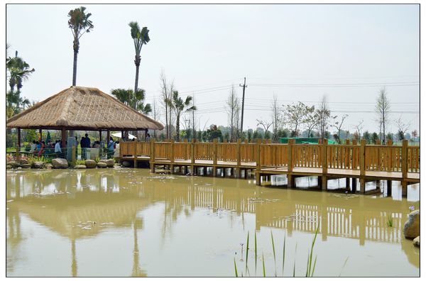 DSC_2859.JPG DSC_2859.JPG