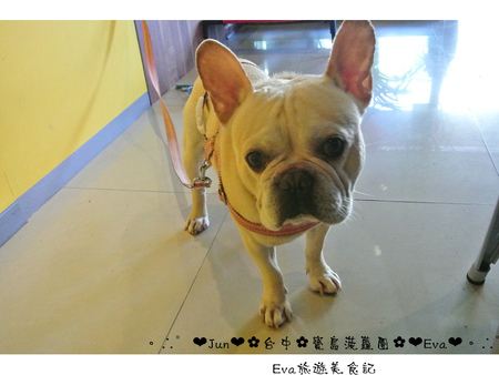 寶島菠蘿團(台中一中店):【遊記】oO。台中 一中街 寶島菠蘿團 傳統又美味的挫冰,是夏天的一大選擇~。o○。 寶島菠蘿團(台中一中店):【遊記】oO。台中 一中街 寶島菠蘿團 傳統又美味的挫冰,是夏天的一大選擇~。o○。