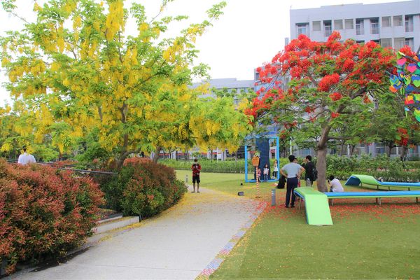 幾米許諾之地：【台南景點】幾米公園願望盛開~許諾之地，鳳凰花與阿勃勒及愛心樹三樹花交疊的特殊景觀