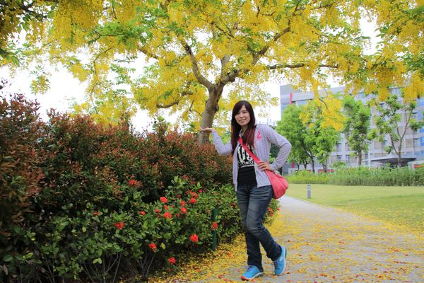 幾米許諾之地：【台南景點】幾米公園願望盛開~許諾之地，鳳凰花與阿勃勒及愛心樹三樹花交疊的特殊景觀