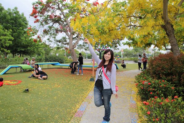 幾米許諾之地：【台南景點】幾米公園願望盛開~許諾之地，鳳凰花與阿勃勒及愛心樹三樹花交疊的特殊景觀