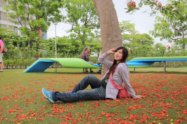 幾米許諾之地：【台南景點】幾米公園願望盛開~許諾之地，鳳凰花與阿勃勒及愛心樹三樹花交疊的特殊景觀