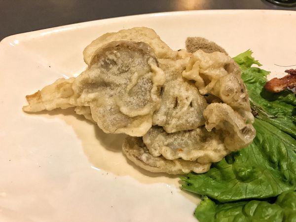 20180118_Snapseed (13).jpg