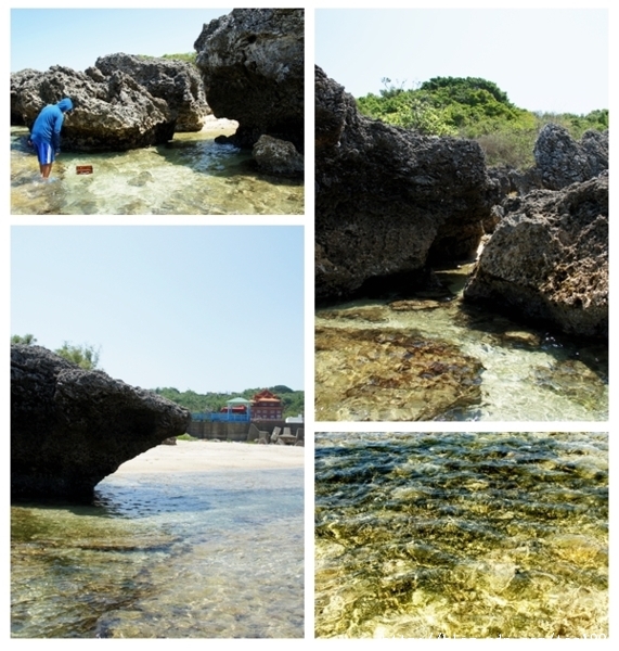 小琉球,一個生態饗宴殿堂。