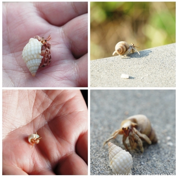 小琉球,一個生態饗宴殿堂。