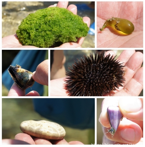 小琉球,一個生態饗宴殿堂。