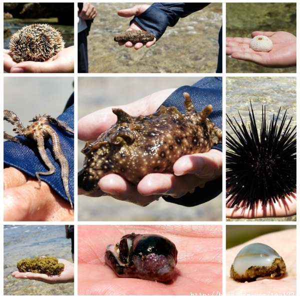 小琉球,一個生態饗宴殿堂。