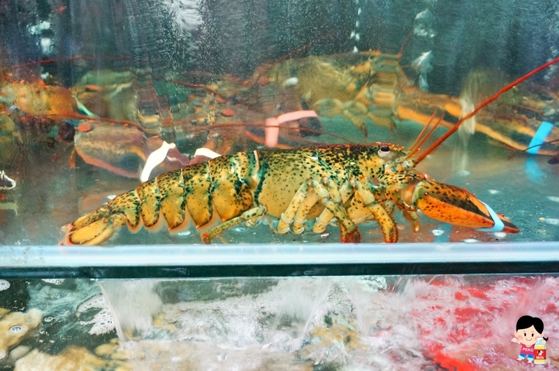 猛嘎海鮮燒物.林道遠餐廳.板橋美食.板橋燒烤.板橋海鮮燒烤.新埔站美食.長江路美食.明星餐廳.藝人餐廳.猛嘎海鮮燒物菜單.