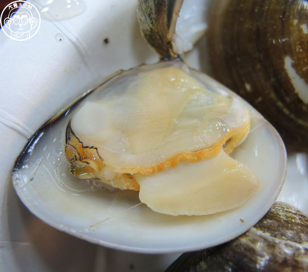 猛嘎海鮮燒物：呷飽祙【新北板橋･猛嘎海鮮燒物】藝人林道遠開店