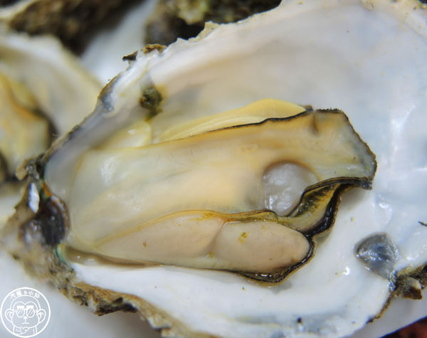 猛嘎海鮮燒物：呷飽祙【新北板橋･猛嘎海鮮燒物】藝人林道遠開店