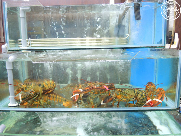 猛嘎海鮮燒物：呷飽祙【新北板橋･猛嘎海鮮燒物】藝人林道遠開店