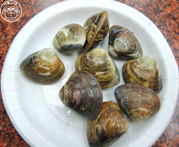 猛嘎海鮮燒物：呷飽祙【新北板橋･猛嘎海鮮燒物】藝人林道遠開店