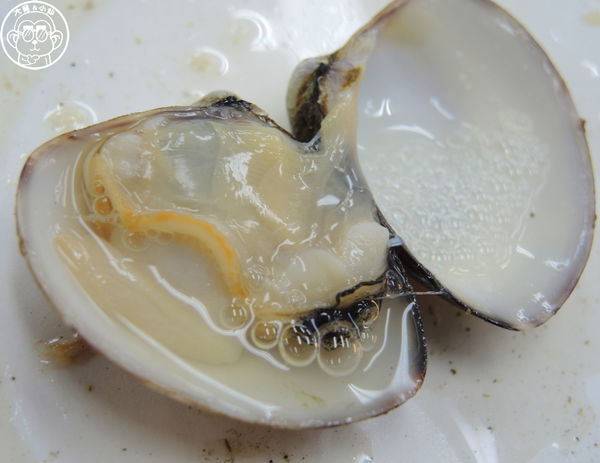 猛嘎海鮮燒物：呷飽祙【新北板橋･猛嘎海鮮燒物】藝人林道遠開店