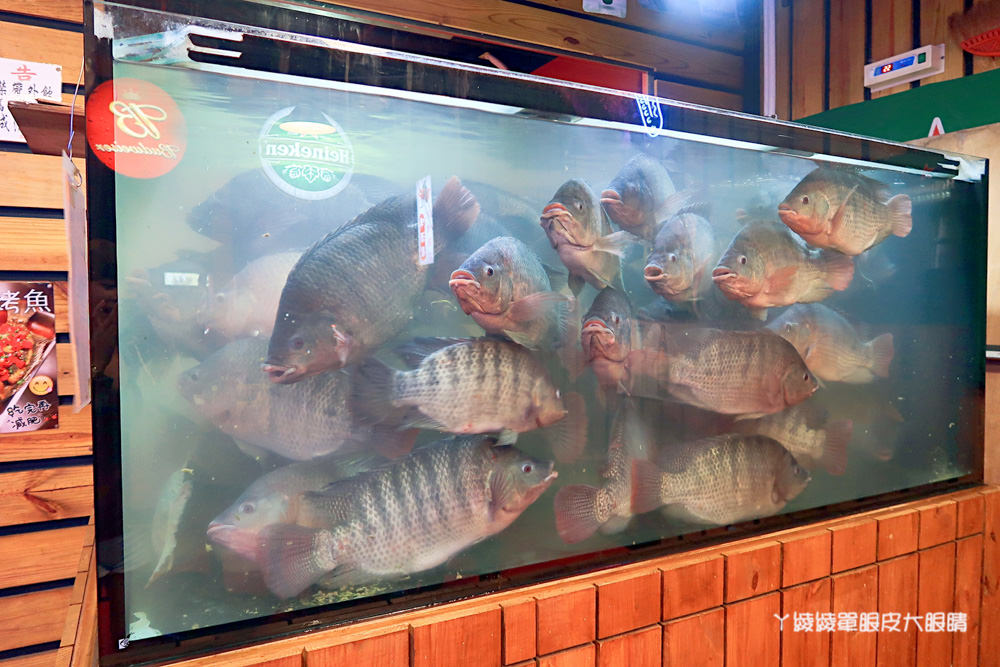 新竹平價熱炒！霸道啤酒屋，公道五路上百道川湘菜料理快炒店