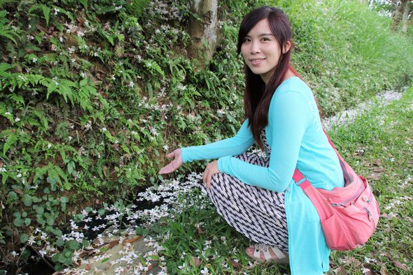 甘家堡：【桃園景點】龍潭甘家堡生態休閒園區~油桐花秘境，季節限定，私人園區免費開放入園