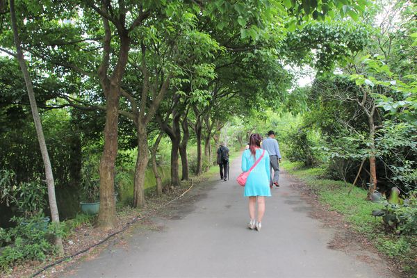 甘家堡：【桃園景點】龍潭甘家堡生態休閒園區~油桐花秘境，季節限定，私人園區免費開放入園