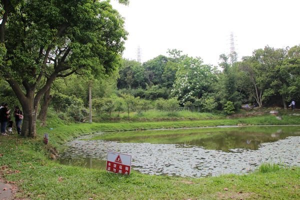 甘家堡：【桃園景點】龍潭甘家堡生態休閒園區~油桐花秘境，季節限定，私人園區免費開放入園