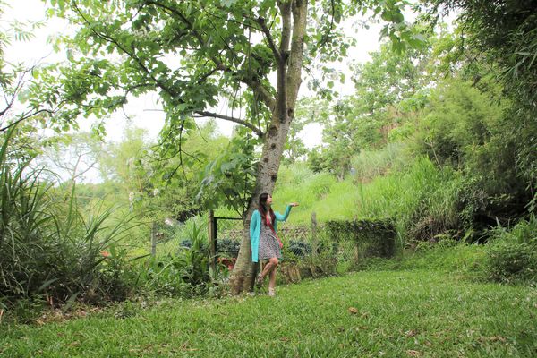 甘家堡：【桃園景點】龍潭甘家堡生態休閒園區~油桐花秘境，季節限定，私人園區免費開放入園