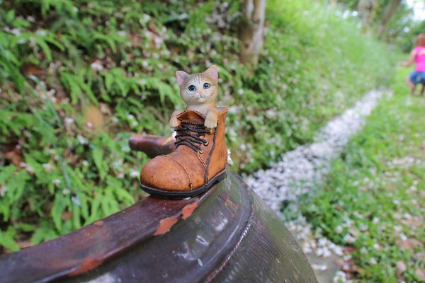 甘家堡：【桃園景點】龍潭甘家堡生態休閒園區~油桐花秘境，季節限定，私人園區免費開放入園