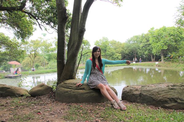 甘家堡：【桃園景點】龍潭甘家堡生態休閒園區~油桐花秘境，季節限定，私人園區免費開放入園