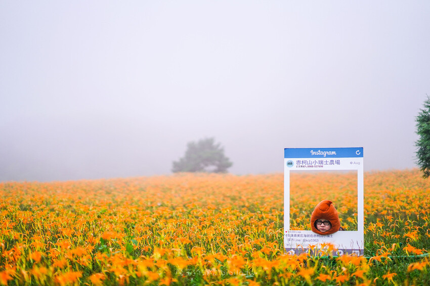 黑秀綿綿冰 Ｘ魔王 宜蘭在地經營50多年冰店 宜蘭美食推薦