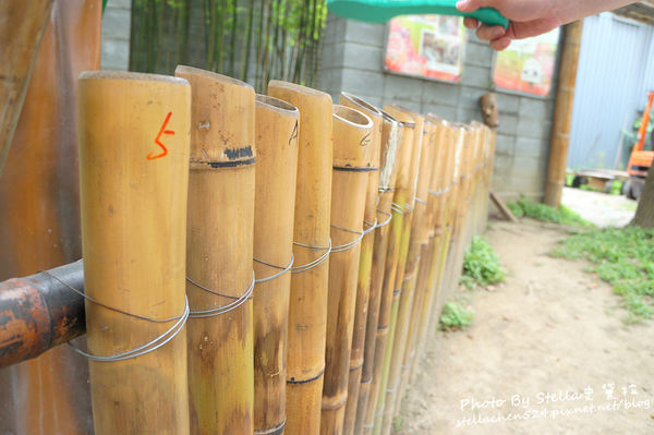 【新竹－竹東】童話故事中的蘑菇屋竟真實出現在眼前＠竹東火車站旅遊服務中心★竹東車站/蘑菇屋/竹東景點/竹東好玩/新竹景點