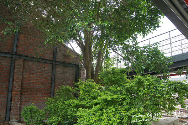 【新竹－竹東】童話故事中的蘑菇屋竟真實出現在眼前＠竹東火車站旅遊服務中心★竹東車站/蘑菇屋/竹東景點/竹東好玩/新竹景點