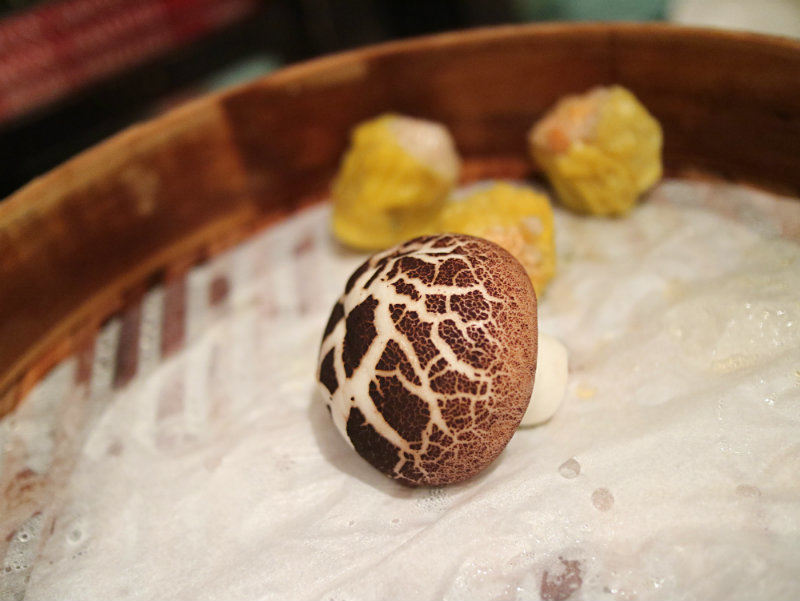 香菇包.JPG 香菇包.JPG