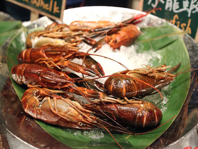 小龍蝦.JPG 小龍蝦.JPG