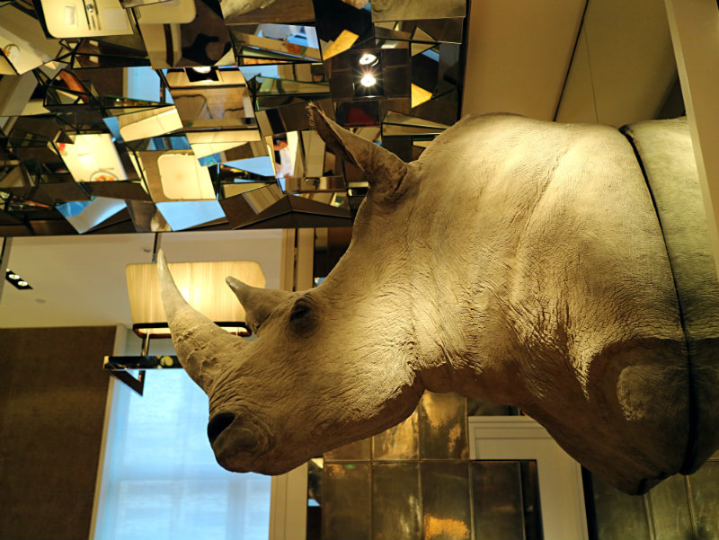 犀牛.jpg 犀牛.jpg