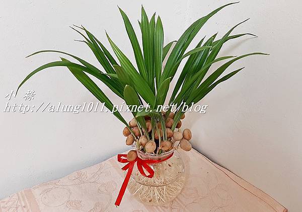 永樂市場葉家 (13).jpg