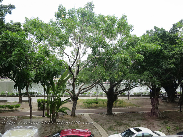 移民融合的美食記憶 ..澳客食堂