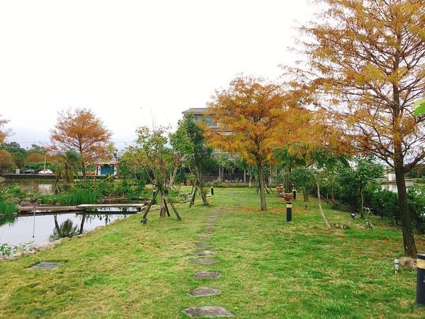 83159894_10219710490168138_3449030790782910464_n.jpg 83159894_10219710490168138_3449030790782910464_n.jpg