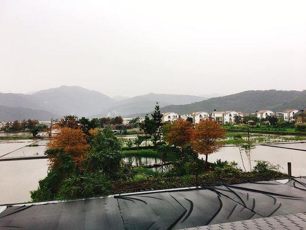 83230152_10219710500168388_4090678379156602880_n.jpg 83230152_10219710500168388_4090678379156602880_n.jpg