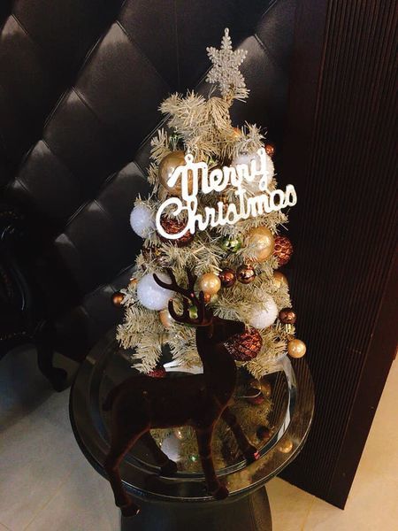 83701483_10219710510928657_6924271963087044608_n.jpg 83701483_10219710510928657_6924271963087044608_n.jpg