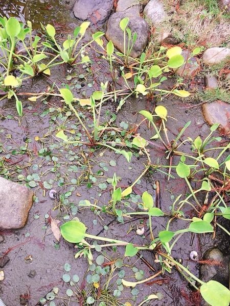 83915595_10219710489608124_2550670168153915392_n.jpg 83915595_10219710489608124_2550670168153915392_n.jpg