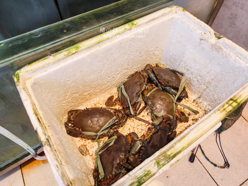 台東。台東市》特選海產店。富岡值得推薦的海產店之一