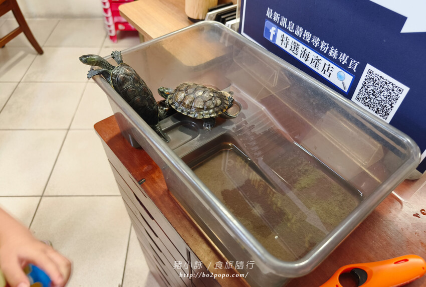 台東。台東市》特選海產店。富岡值得推薦的海產店之一