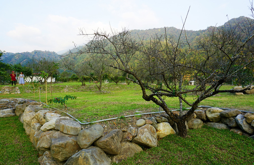 南投景點》周末就醬玩南投一日遊必玩美食.景點.住宿推薦～泰雅渡假村.餘生紀念館.糯米橋.鯉魚潭風景區.樂川櫻田 就這樣玩!